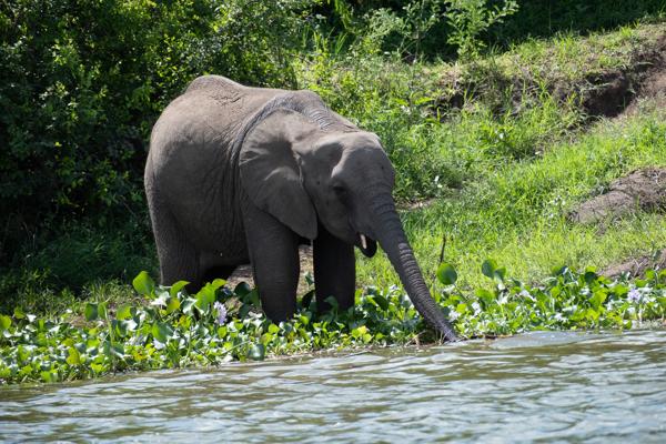 Katunguru, Uganda
