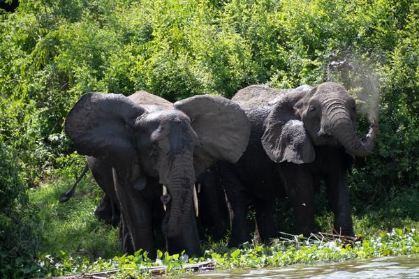 Katunguru, Uganda