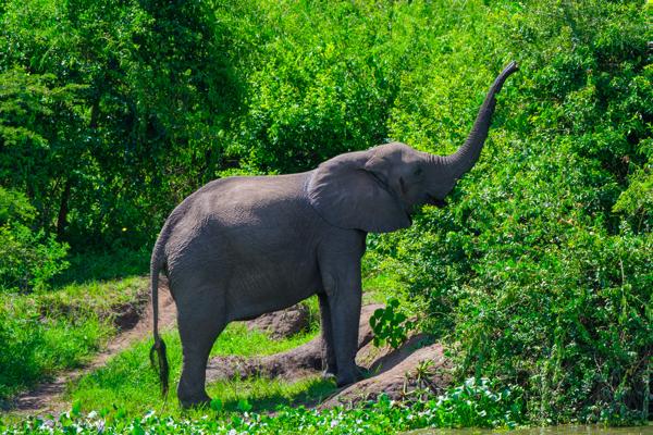 Katunguru, Uganda