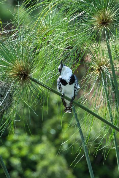 Kabatoro, Uganda