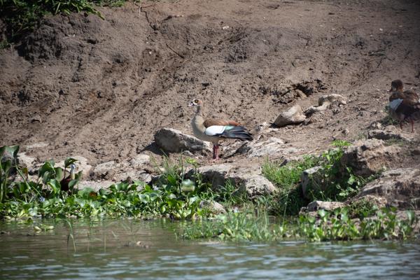 Katunguru, Uganda