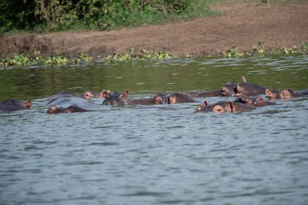 Katunguru, Uganda