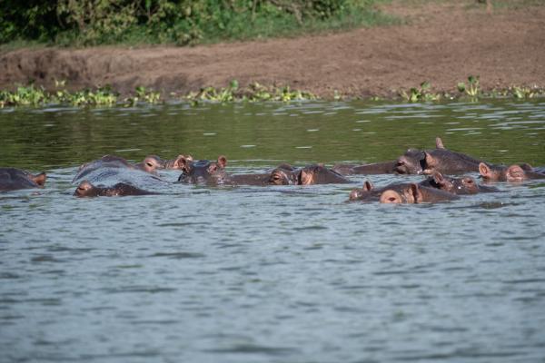 Katunguru, Uganda