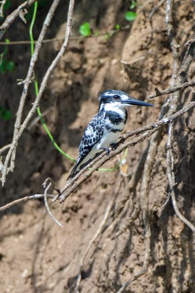Katunguru, Uganda