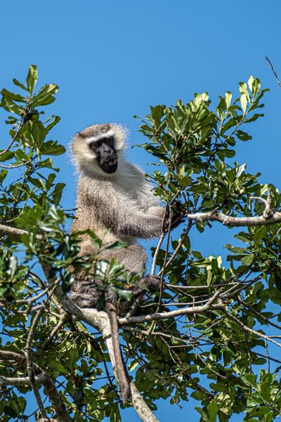 Katunguru, Uganda