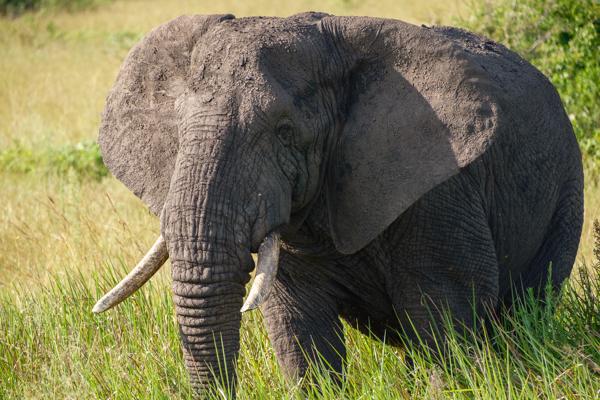 Katunguru, Uganda