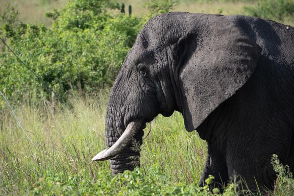 Katunguru, Uganda