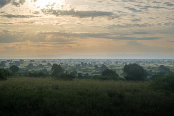 Kasenyi, Uganda
