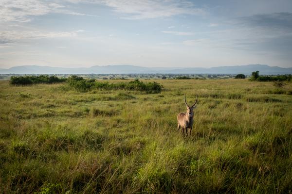 Kasenyi, Uganda