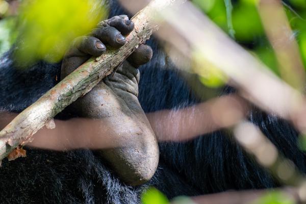 Matyazo, Uganda