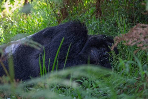 Matyazo, Uganda