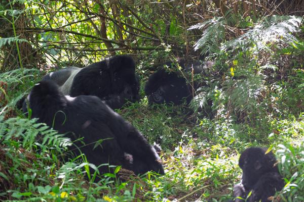 Matyazo, Uganda