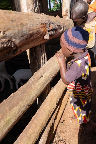 Kasambya, Uganda