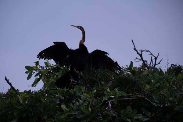 Jinja, Uganda