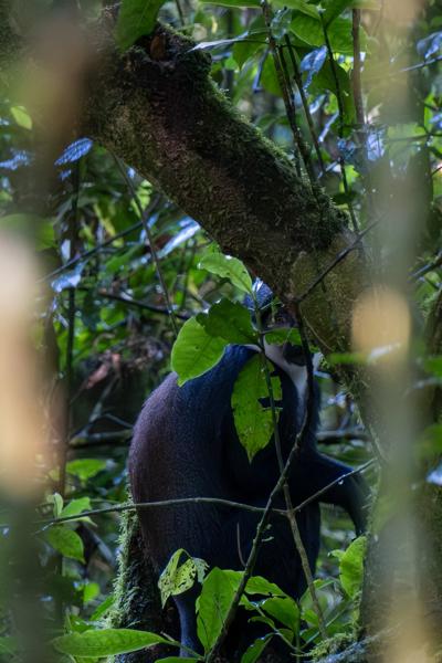 Kayanga, Uganda