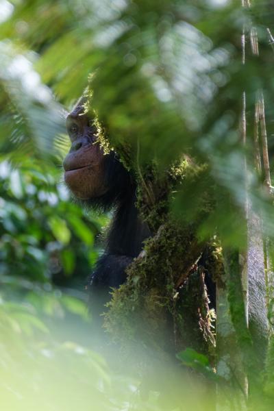 Kayanga, Uganda