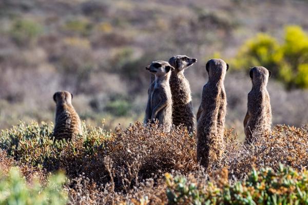 George, South Africa