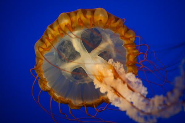 Vancouver, Canada