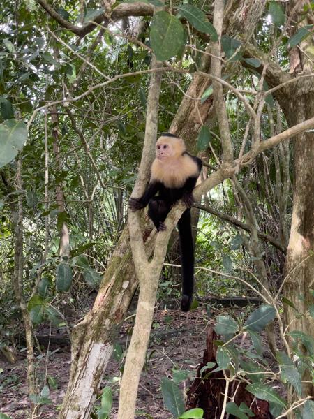 Quepos, Costa Rica
