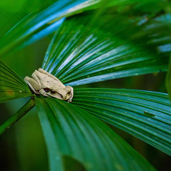 Quepos, Costa Rica
