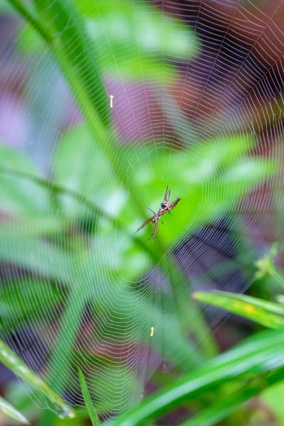 Quepos, Costa Rica