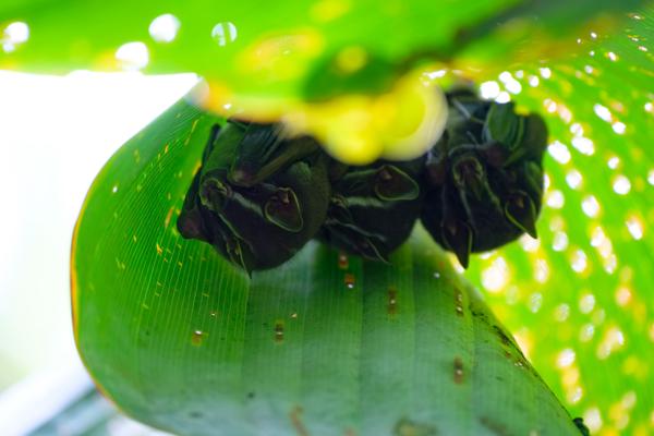 Quepos, Costa Rica