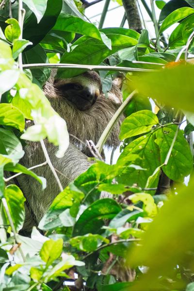 Quepos, Costa Rica