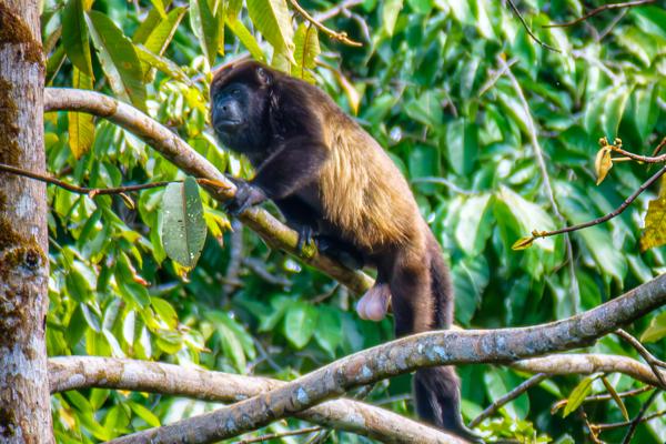 Quepos, Costa Rica