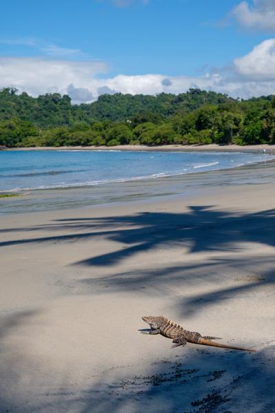 Quepos, Costa Rica