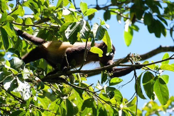 Quepos, Costa Rica