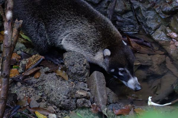 Quepos, Costa Rica