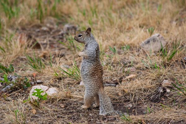 North Rim, United States