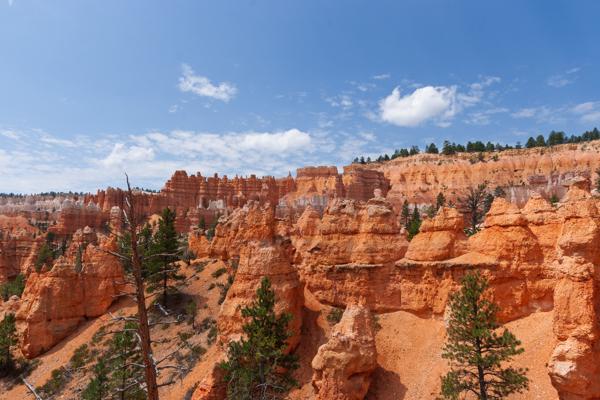 Garfield County, United States
