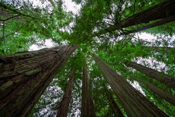 Del Norte County, United States