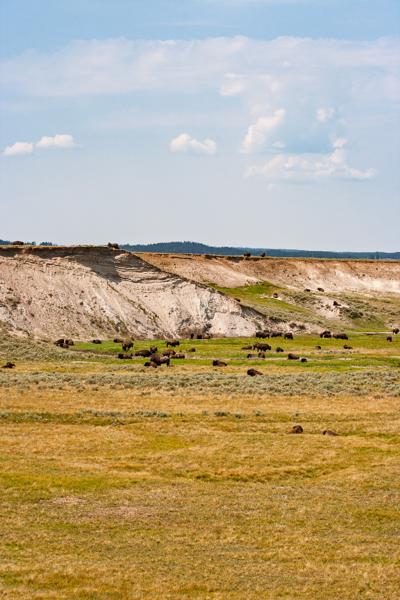 Park County, United States