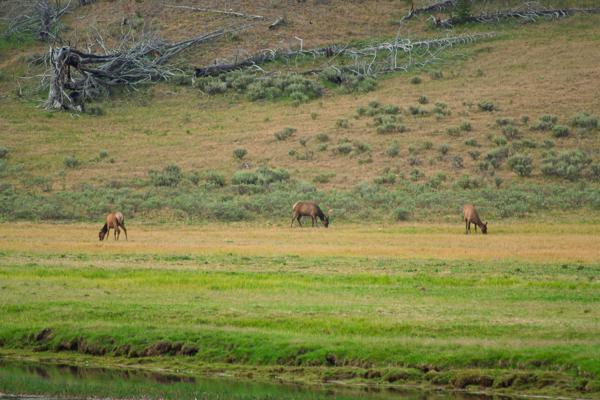 Park County, United States