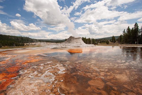Upper Geyser Basin, United States
