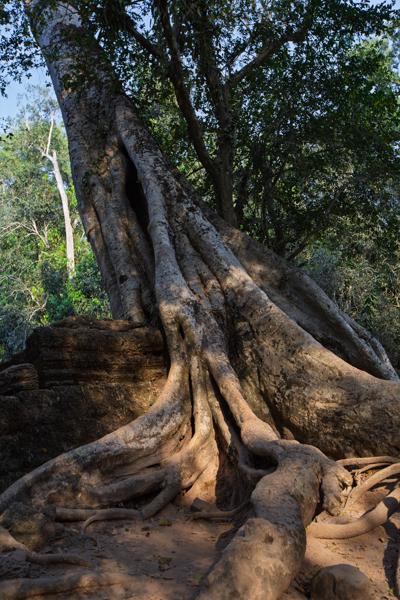 Siem Reap, Cambodia