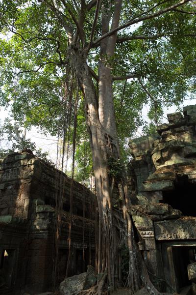 Siem Reap, Cambodia