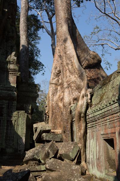 Siem Reap, Cambodia