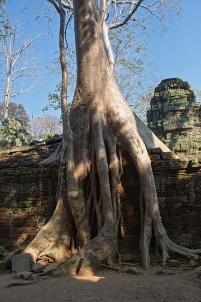 Siem Reap, Cambodia