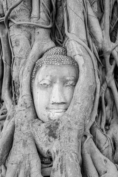 Thailand 2015