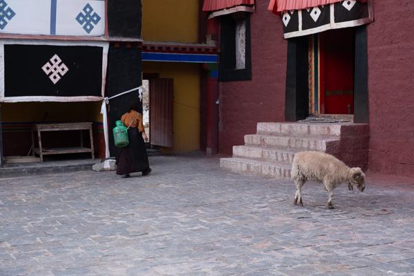 Tingri, China