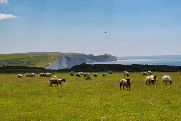 Seaford, England