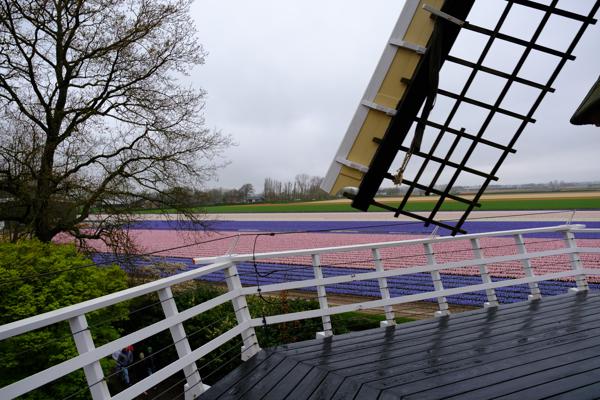 Lisse, Netherlands