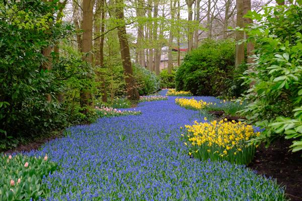 Lisse, Netherlands