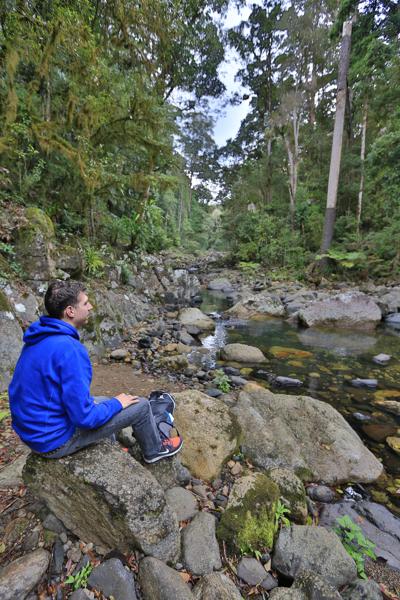 Scenic Rim Regional, Australia